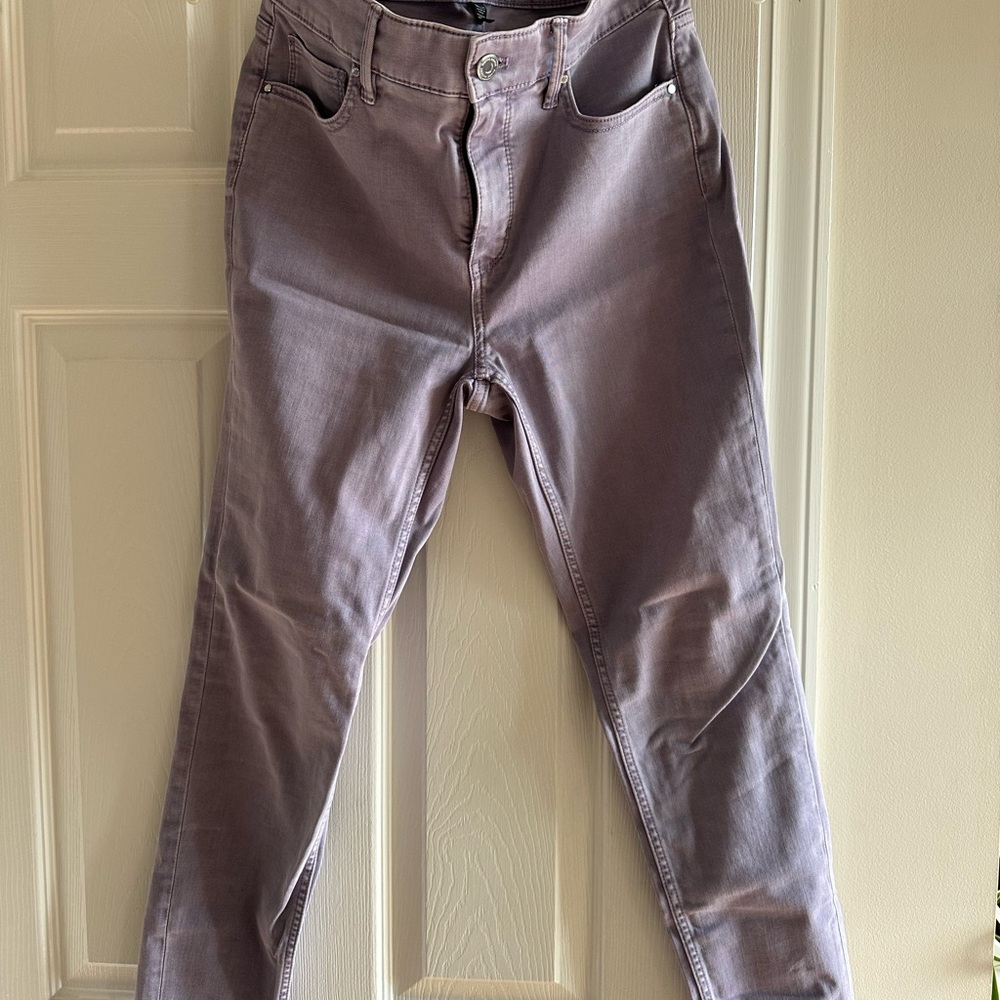 Stylish Purple Pants